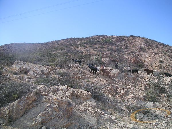 PICT0036