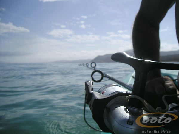 PICT0060
